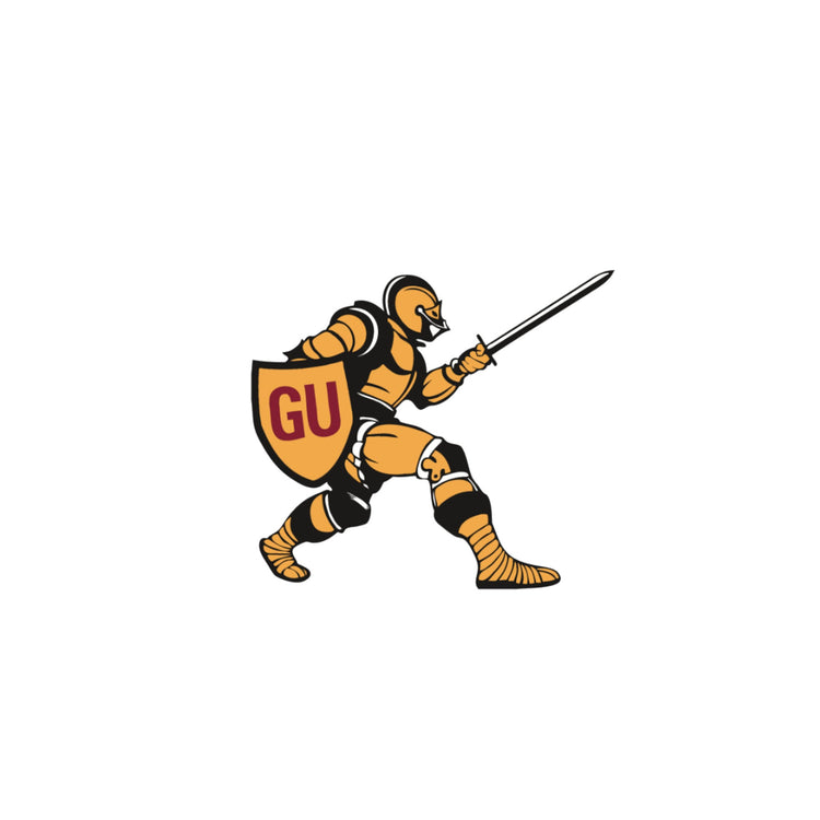 Gannon University (PA)