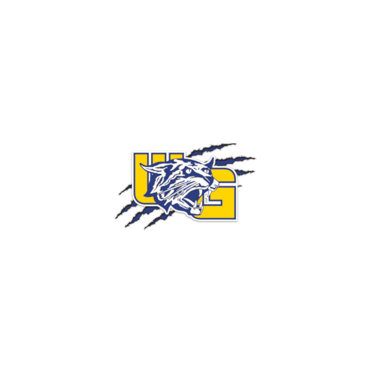 West Genesee High School (NY)