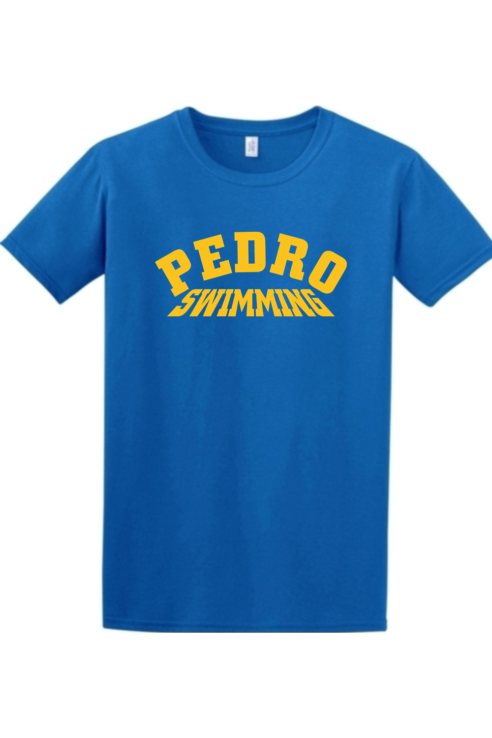 Pedro Menendez HS - Team T-Shirt